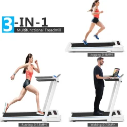 Treadmill Desk