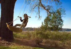 Tree Swing Surf Board