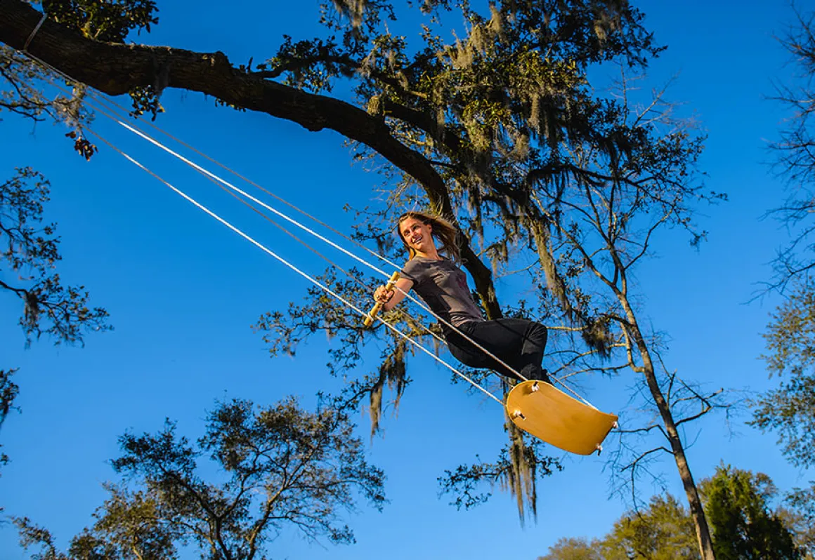 Tree Swing Surf Board