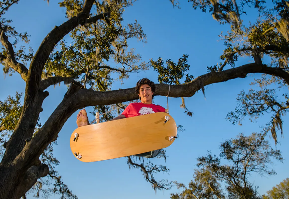 Tree Swing Surf Board