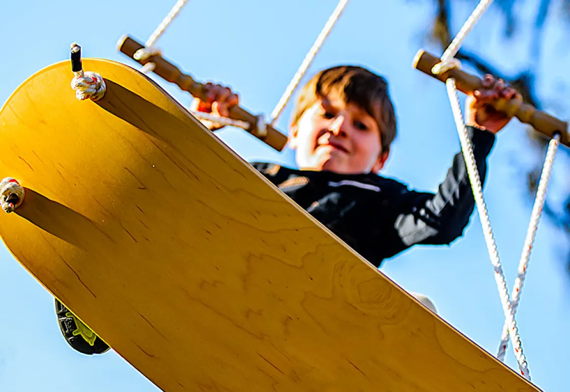 Tree Swing Surf Board