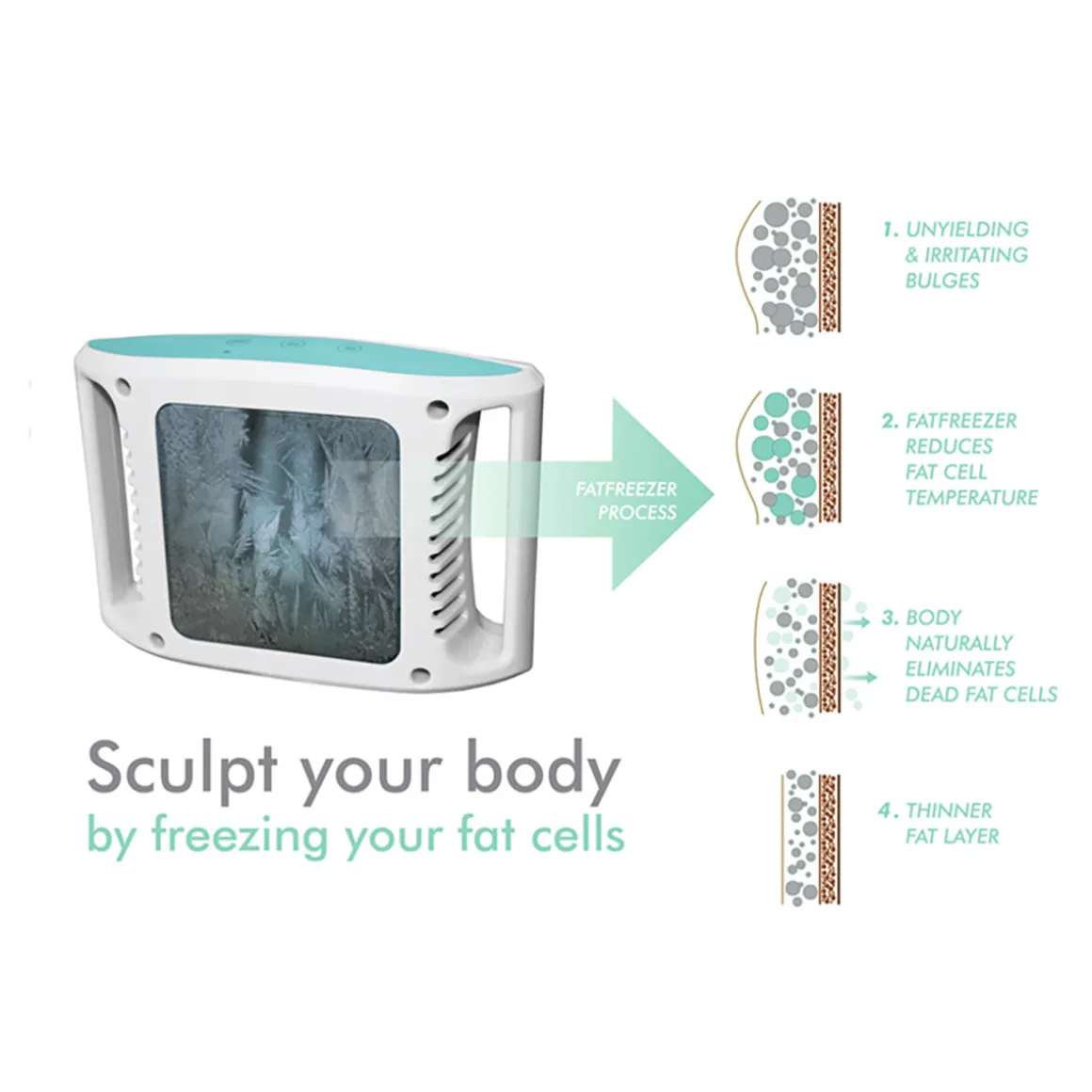 Ultimate Fat Freezer