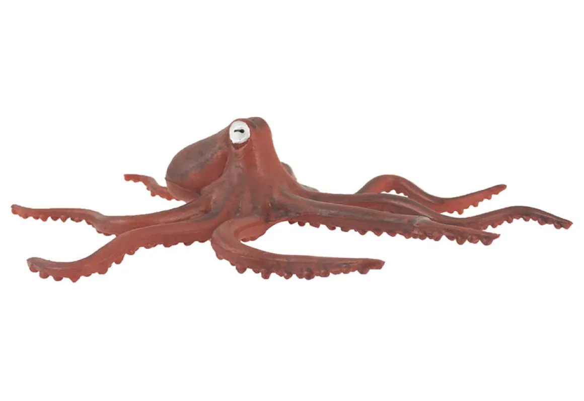 Undersea 4D Interactive Smart Set