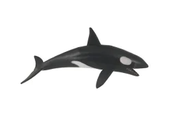 Undersea 4D Interactive Smart Set