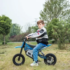 36V E-Dirt Bike with Brushless Motor