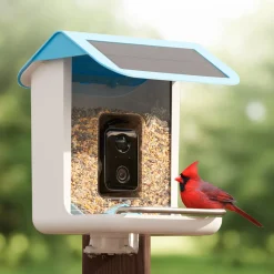 Video Camera Bird Feeder by Sharper Image
