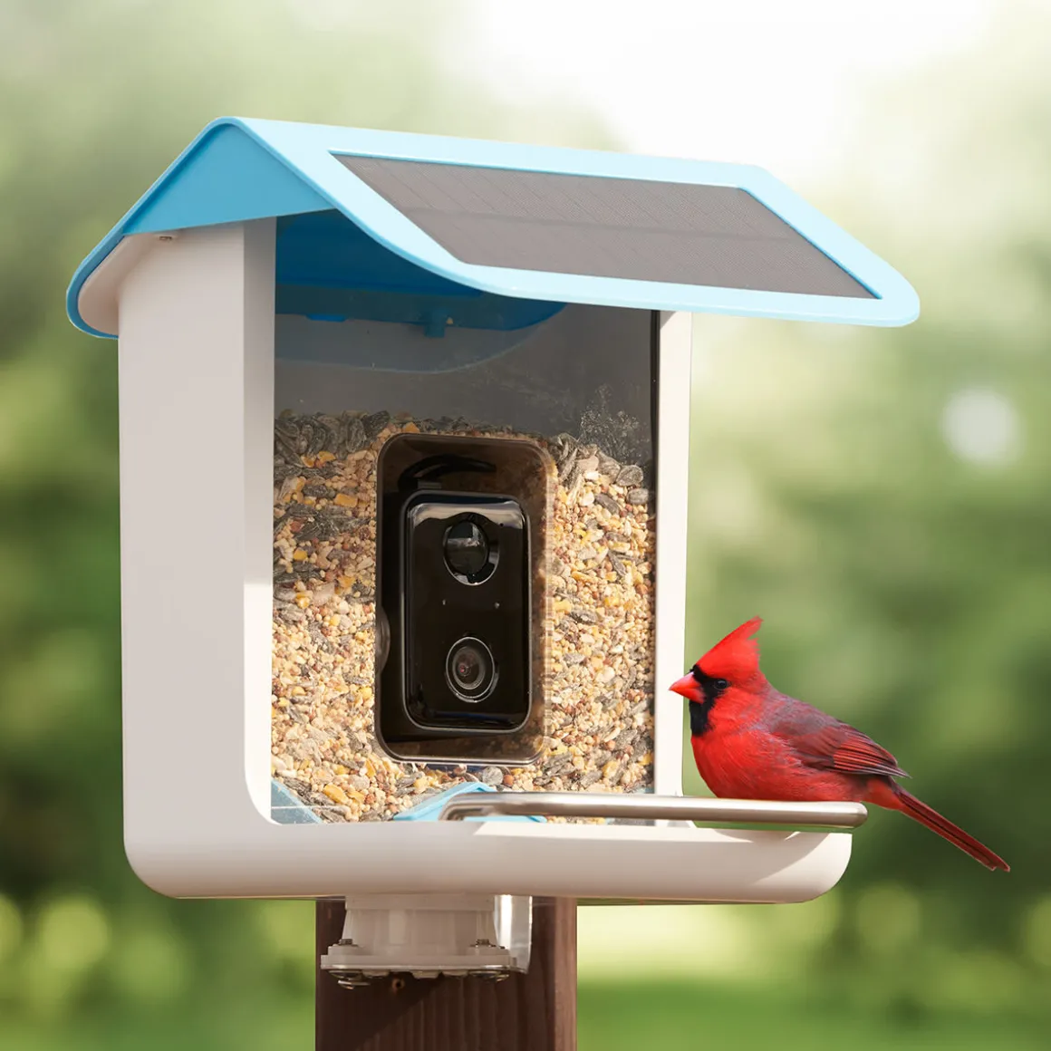 Video Camera Bird Feeder by Sharper Image