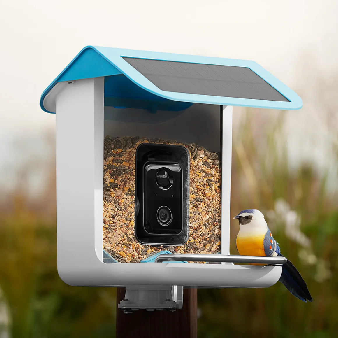 Video Camera Bird Feeder by Sharper Image