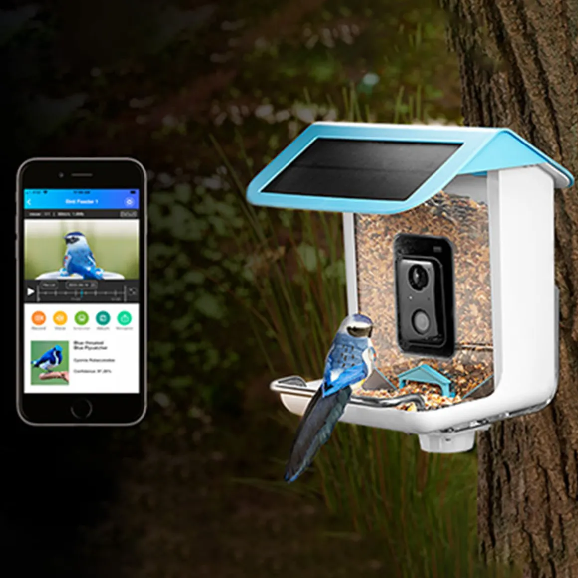 Video Camera Bird Feeder by Sharper Image