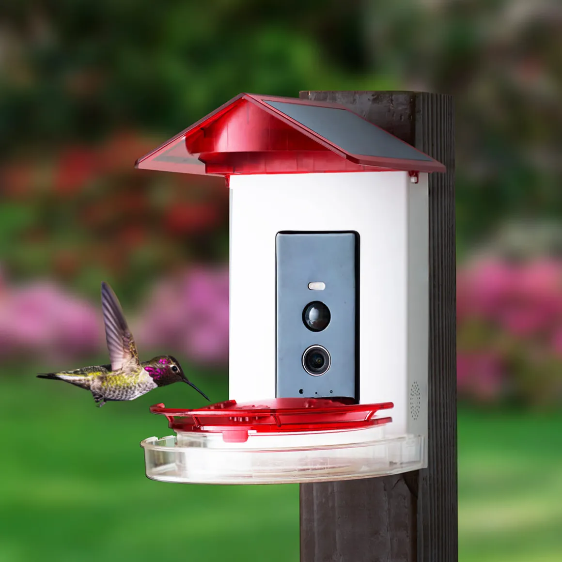 Video Camera Hummingbird Feeder by Sharper Image