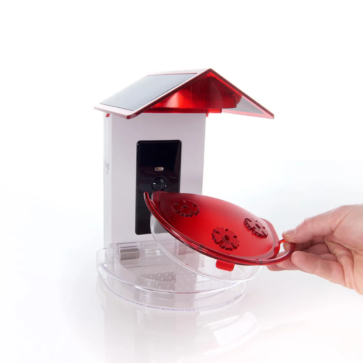 Video Camera Hummingbird Feeder by Sharper Image