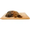 Warming Pet Pad