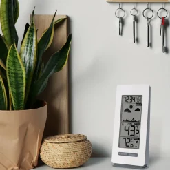 Wireless Forecast Station
