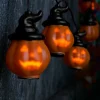 8' Animated Pumpkin String Lights