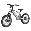Youth Electric Dirt Bike
