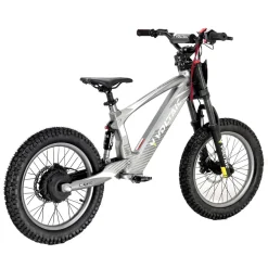 Youth Electric Dirt Bike